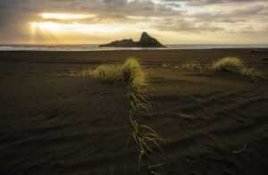 summary of still life by louise penny