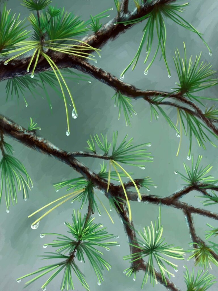 the most common problems encountered with basements are related to