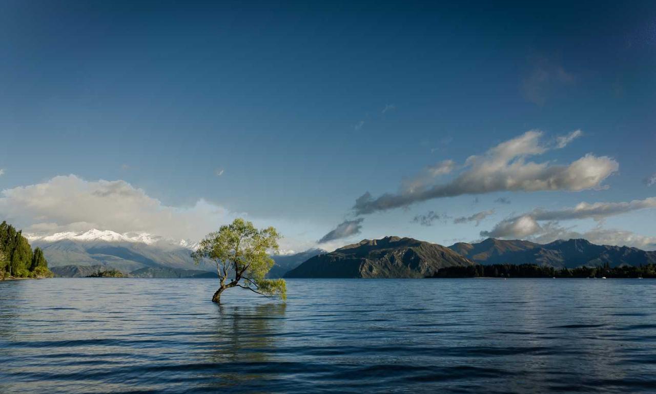 cleaning sofa advice mipimprov