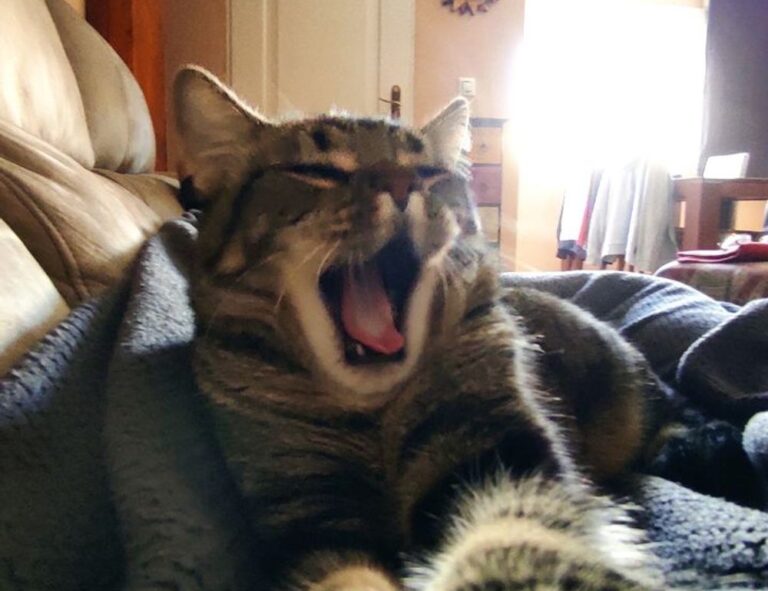 comfort tips mipimprov