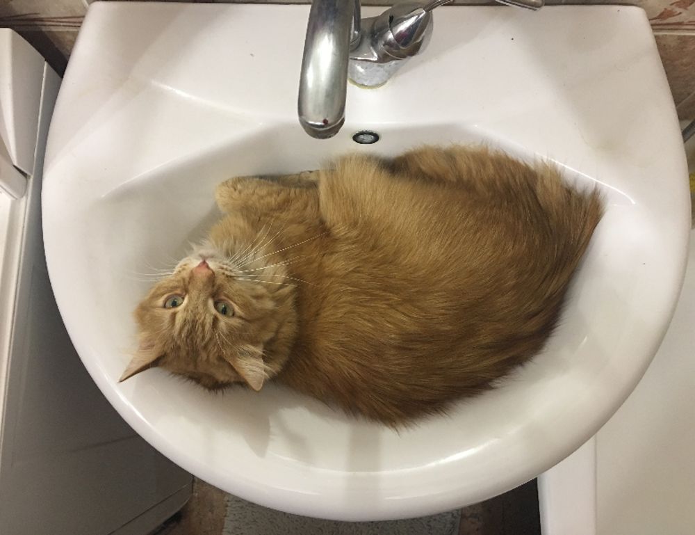 house decor mipimprov