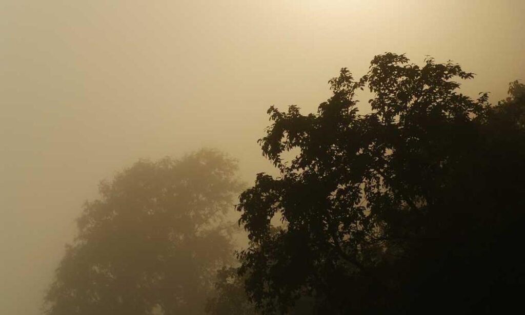 how far to homiezava hotel