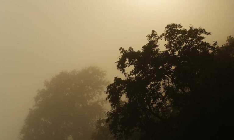 how far to homiezava hotel