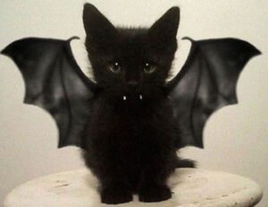 lighting interior mipimprov