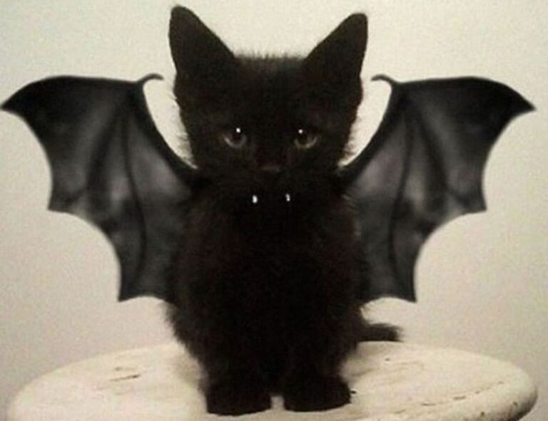 lighting interior mipimprov