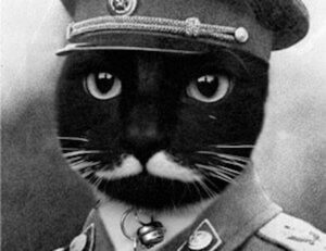 living room decoration mipimprov