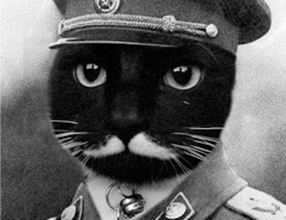 living room decoration mipimprov