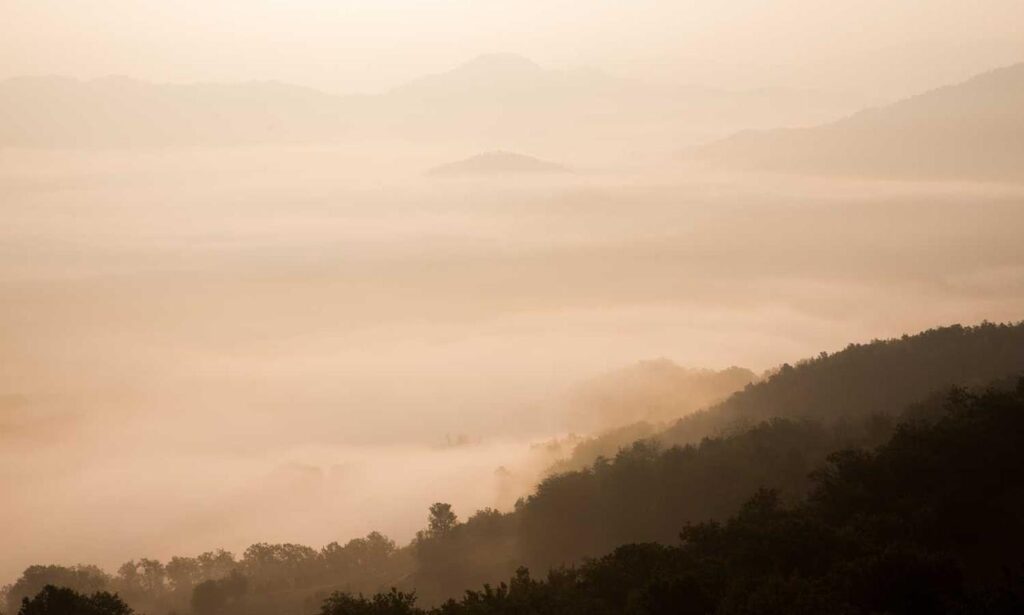 10. which eoc configuration aligns with the on-scene incident organization?