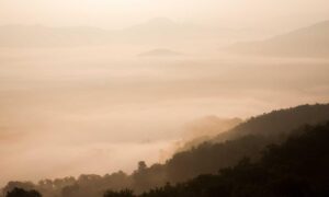 10. which eoc configuration aligns with the on-scene incident organization?