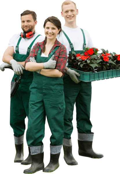 happy-gardeners-with-plants-and-lawn-mower-PVEMXNP.png