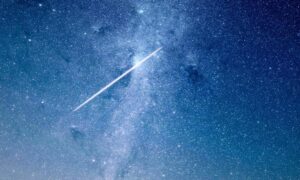 why home improvement is important mintpalhouse