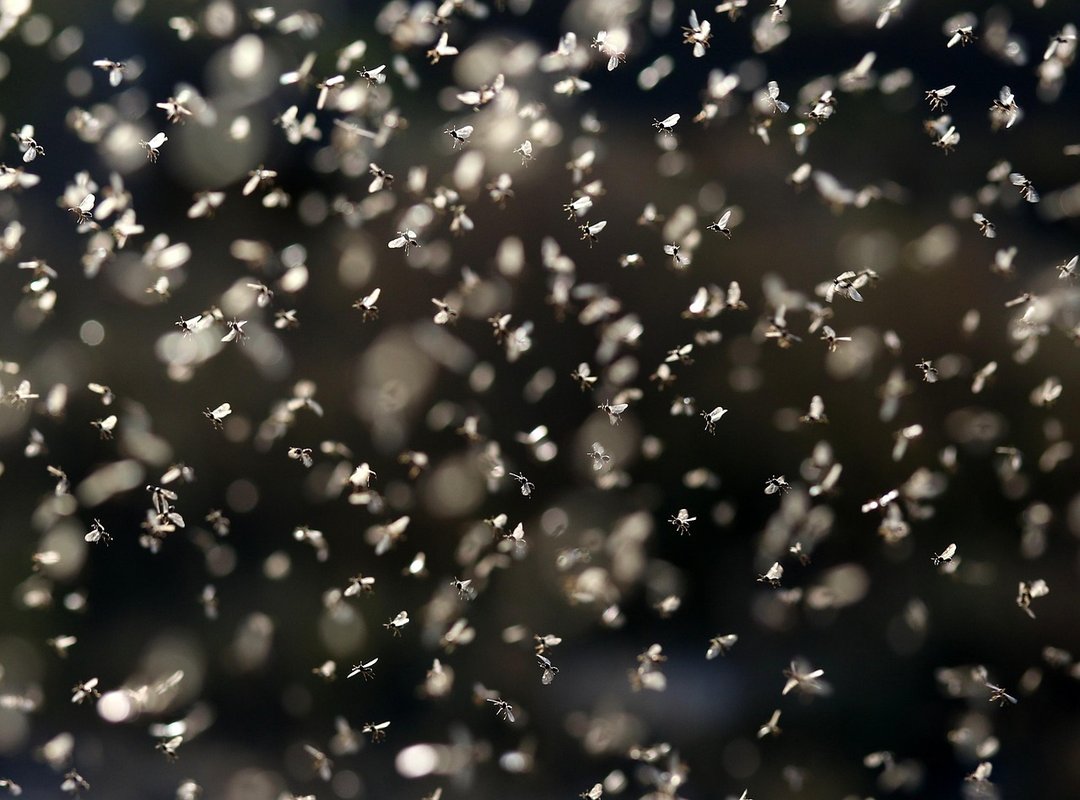 Exterior Design Drhextreriorly