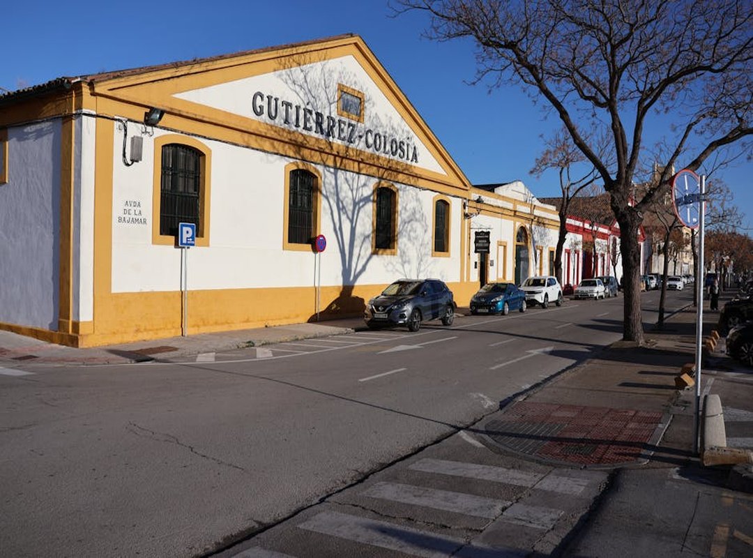 Eligiendo el Lienzo Perfecto: Tipos de Muñecas Ideales para la Personalización