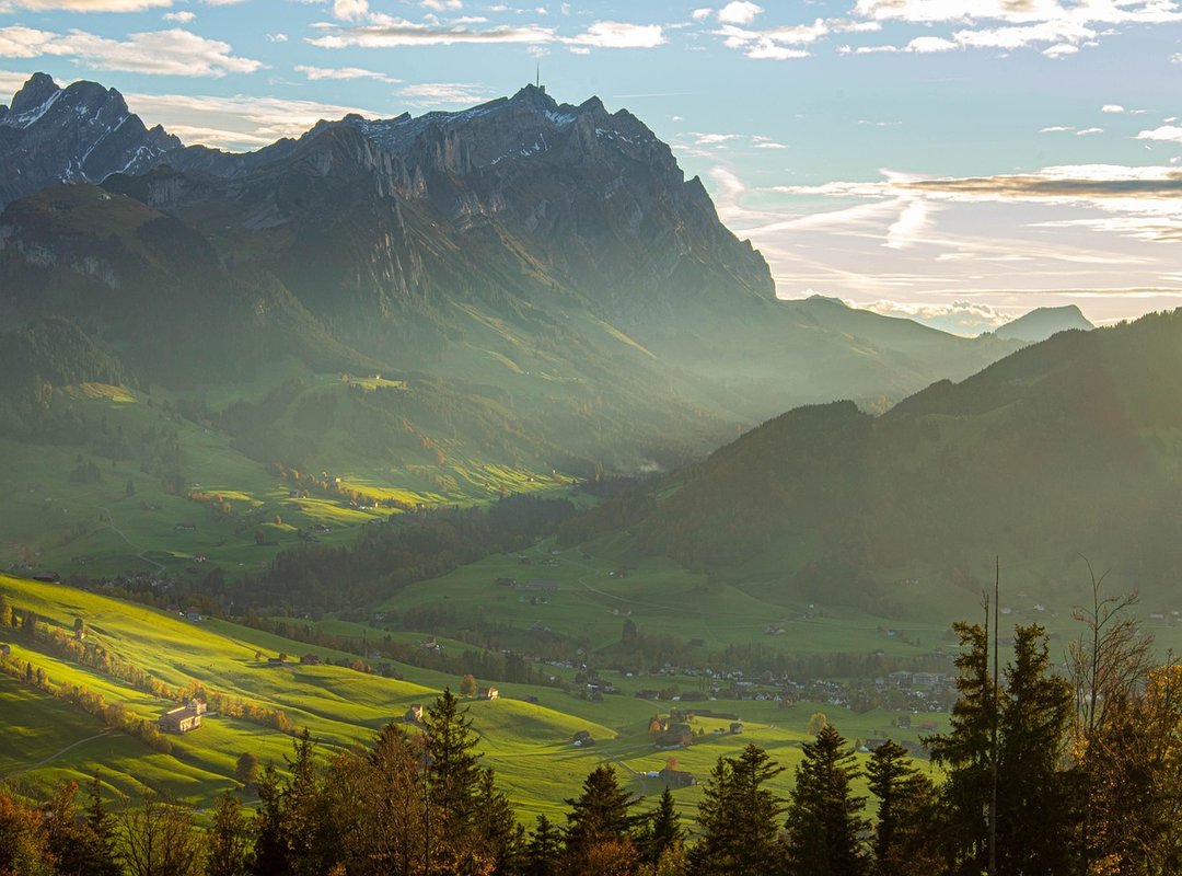 The Impact and Appeal of the AlisonXCA Brand