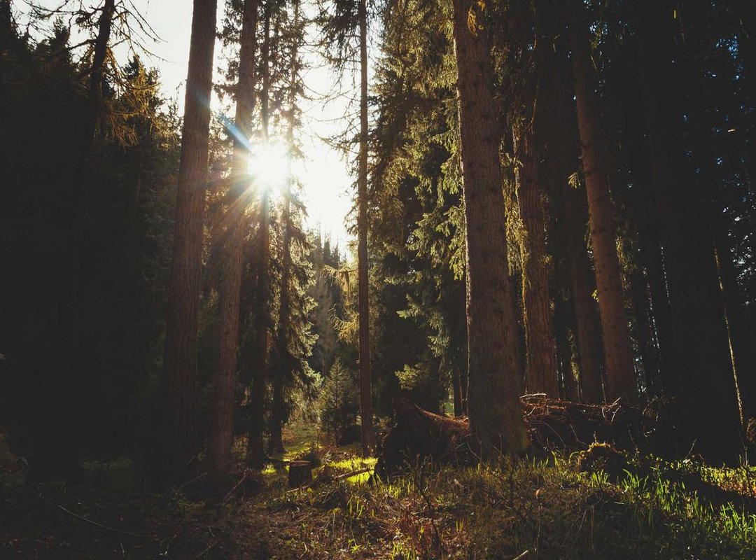 Macroeconomic Tailwinds: Why Global Economics Could Fuel BTC's Rise