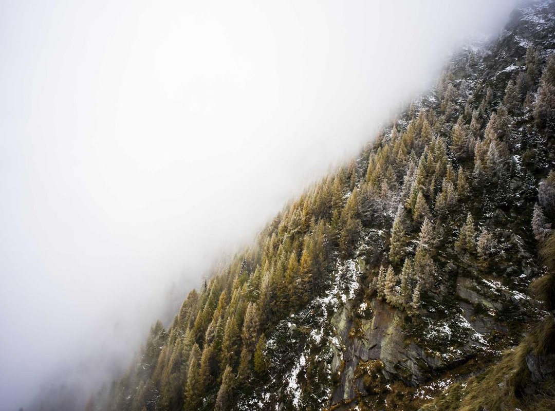 The Internet's Search for Answers: Who Is the Real 'Glonky Guy'?