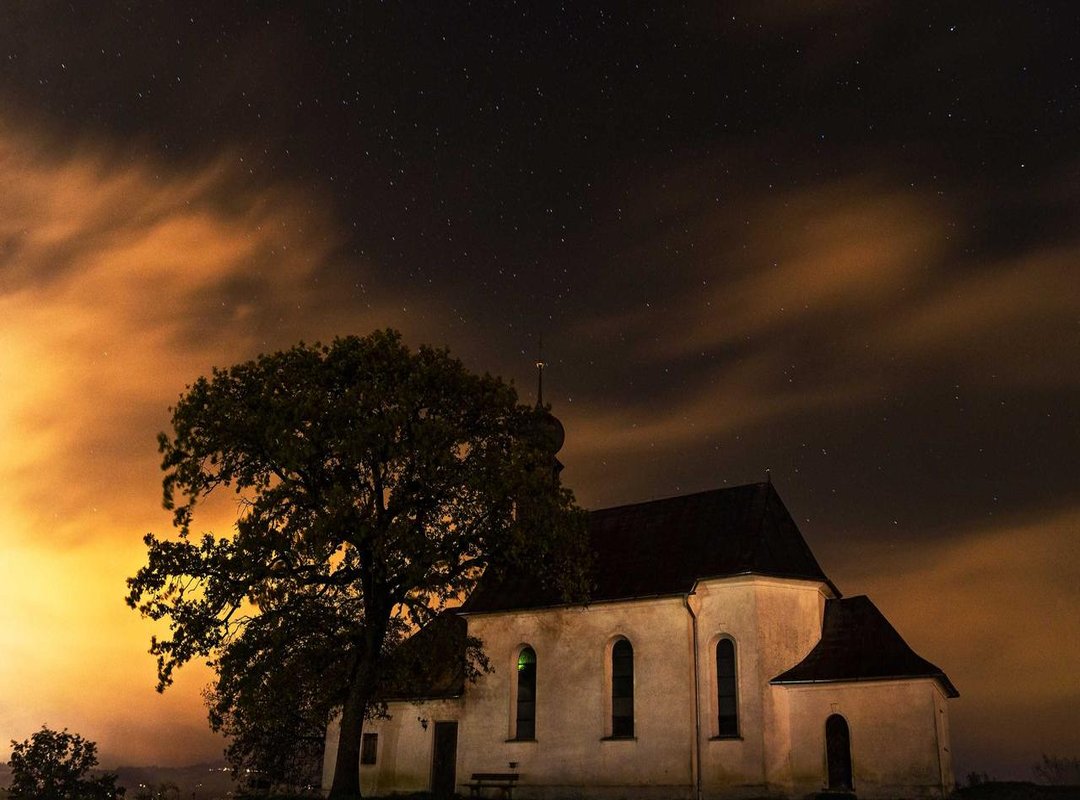 Beyond Crayons: Fun Ways to Bring Your Stitch to Life