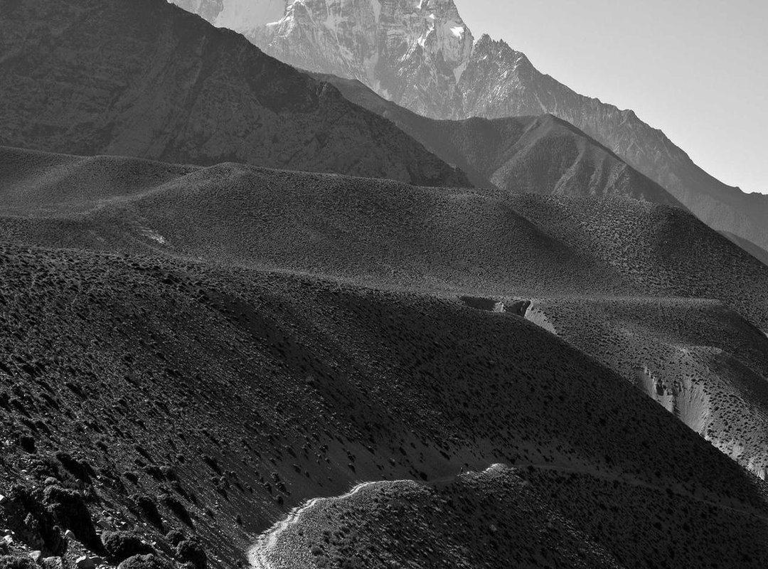 Reading Between the Lines: Themes and Foreshadowing