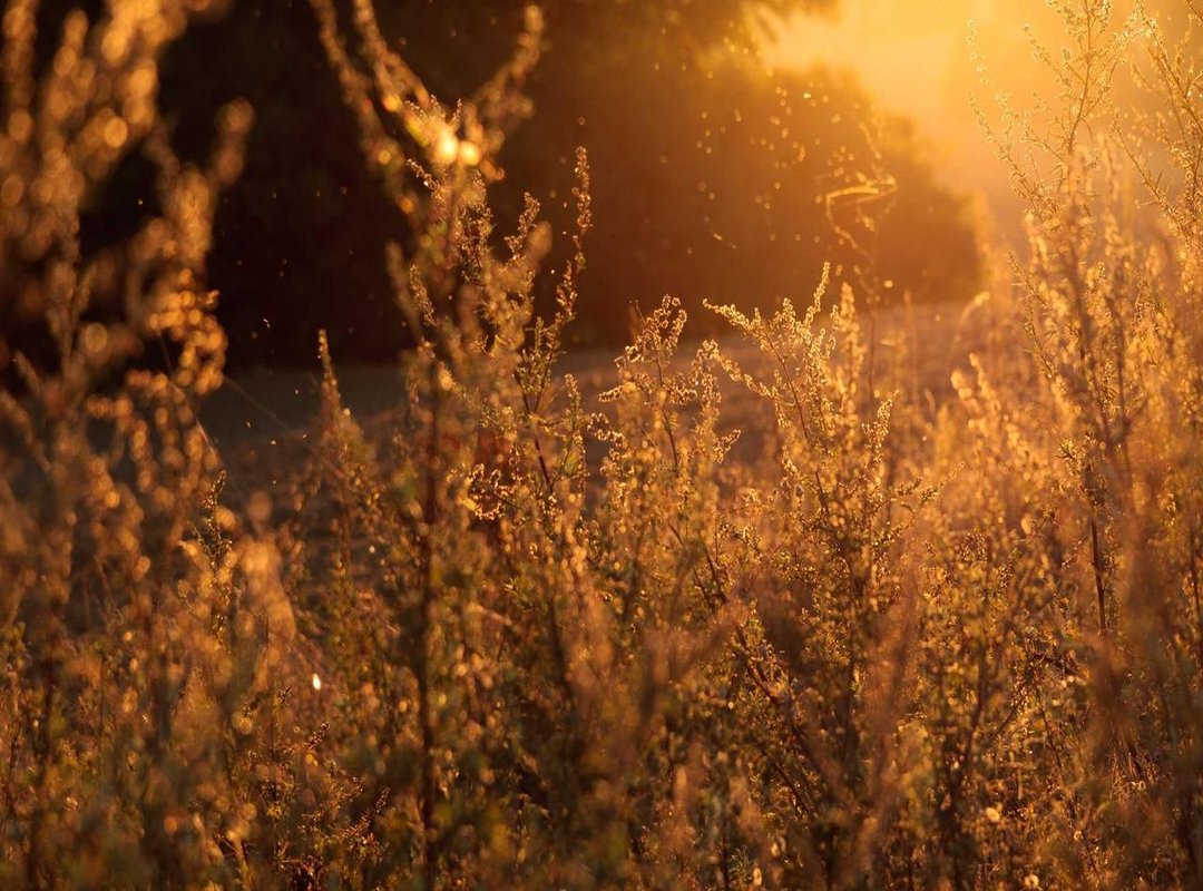 Current Status: What Is Adam Kotas Doing Now?