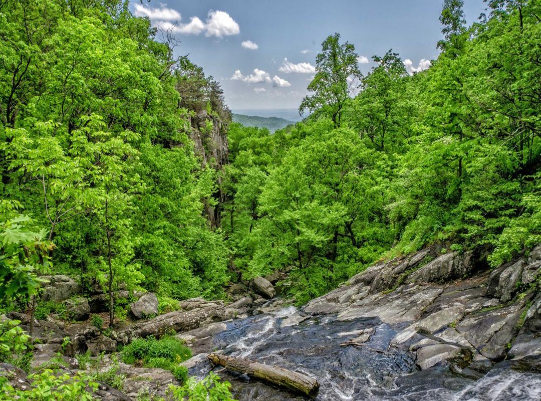 Making It Uniquely Yours: Personalization Ideas