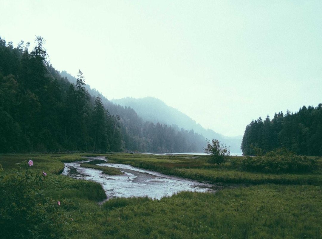 How to Convert YouTube to MP4: A 4-Step Guide