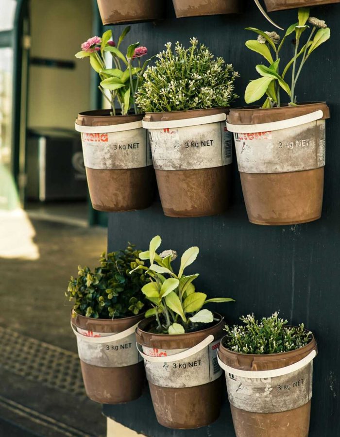 A charming arrangement of potted herbs and flowers in a vertical garden adds a touch of greenery to a modern space.